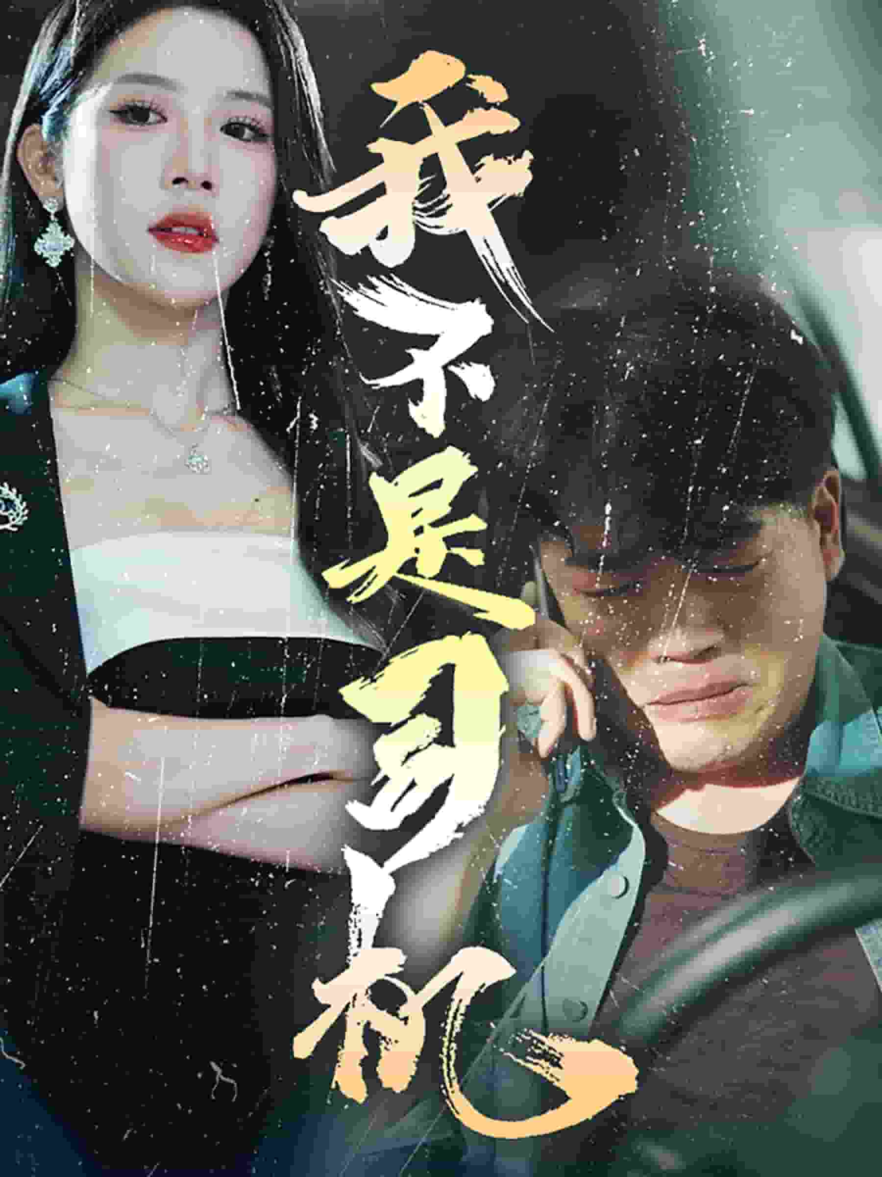 《我不是司机》完整版在线观看