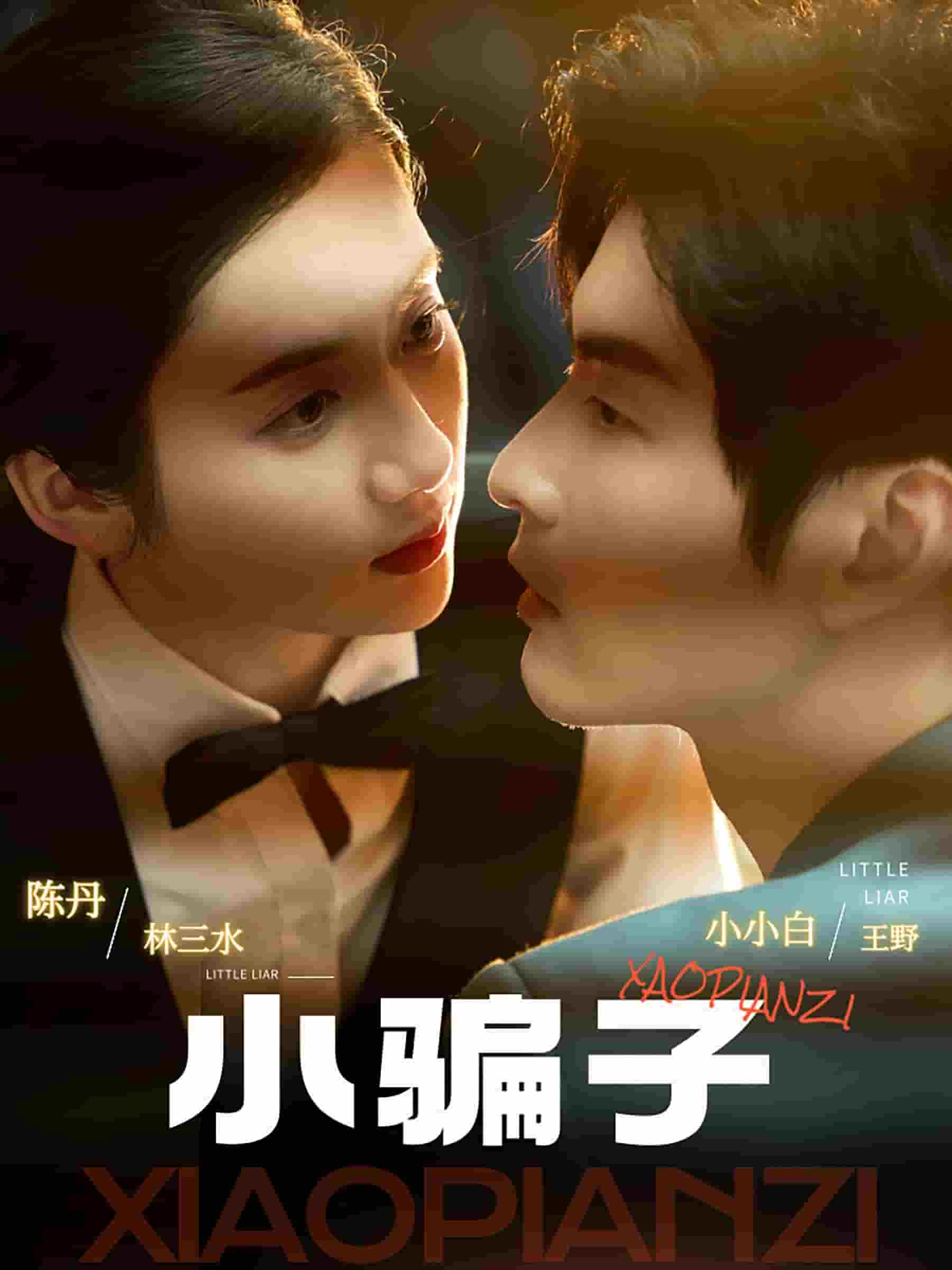 《小骗子》完整版在线观看