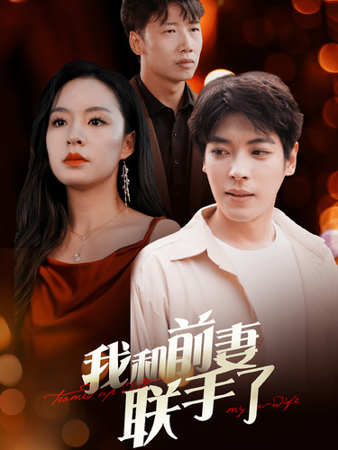 《我和前妻联手了》完整版在线观看