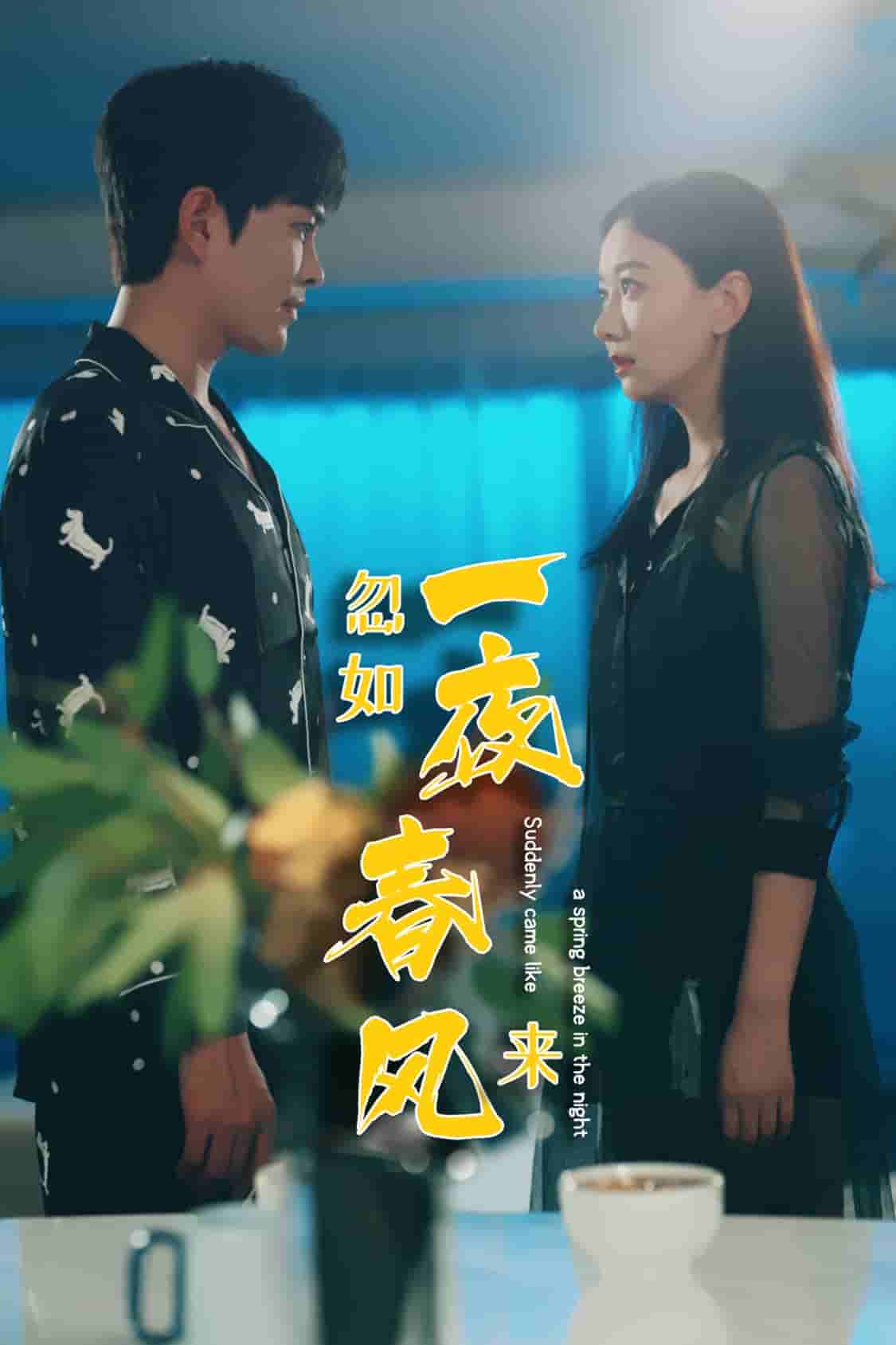 《忽如一夜春风来》完整版在线观看