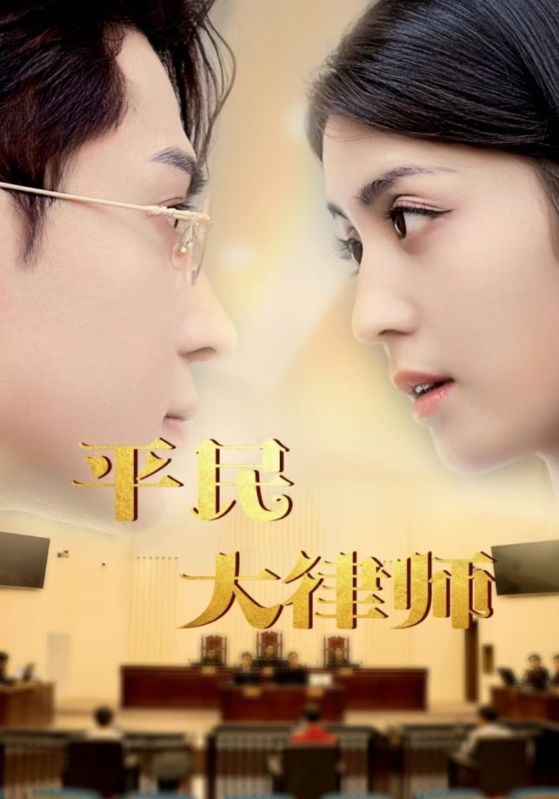 《平民大律师》完整版在线观看