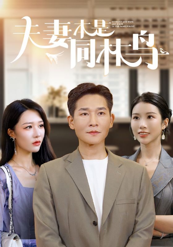 《夫妻本是同林鸟》完整版在线观看