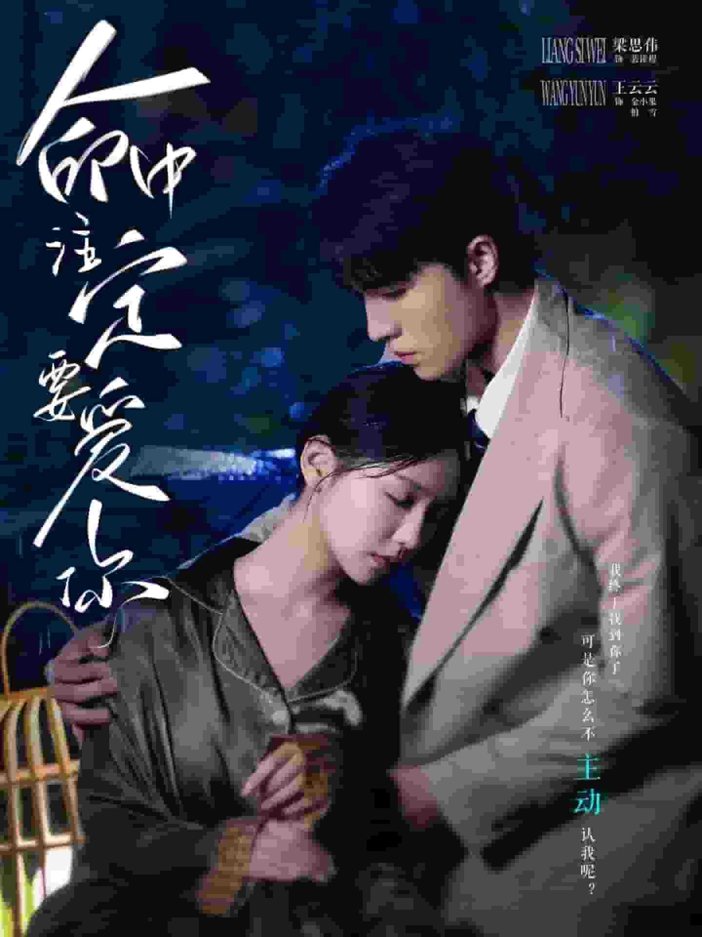 《命中注定要爱你》完整版在线观看