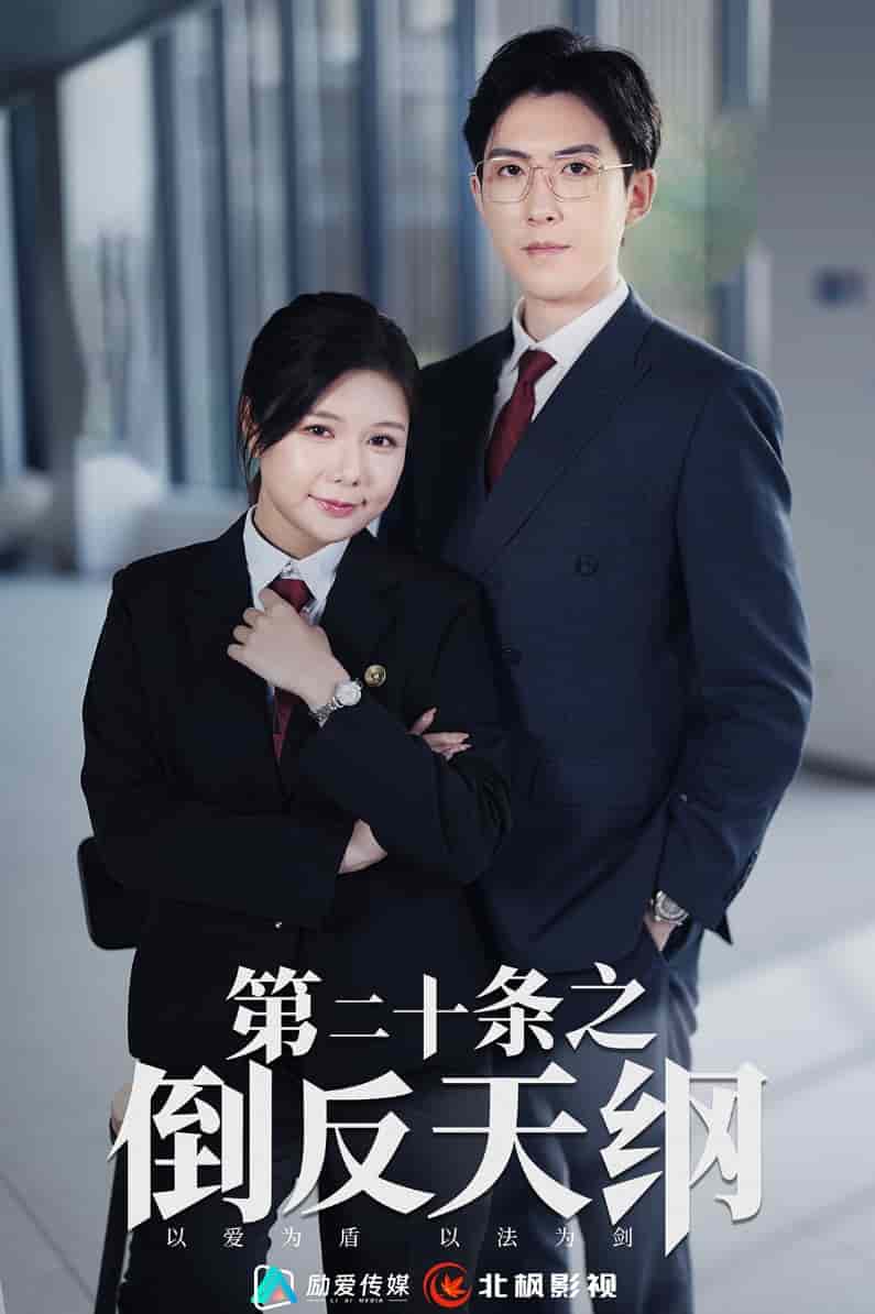 《第二十条之倒反天纲》完整版在线观看