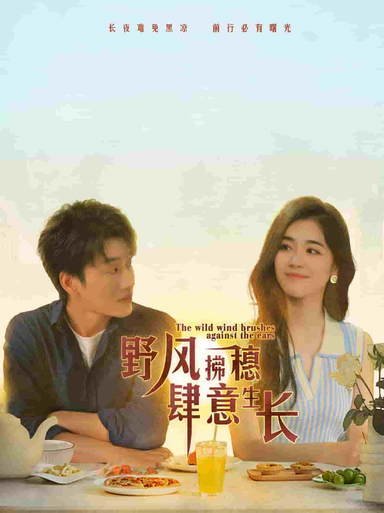 《野风拂穗肆意生长》完整版在线观看