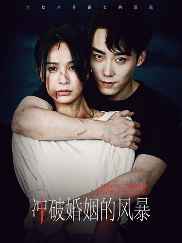 《冲破婚姻的风暴》完整版在线观看