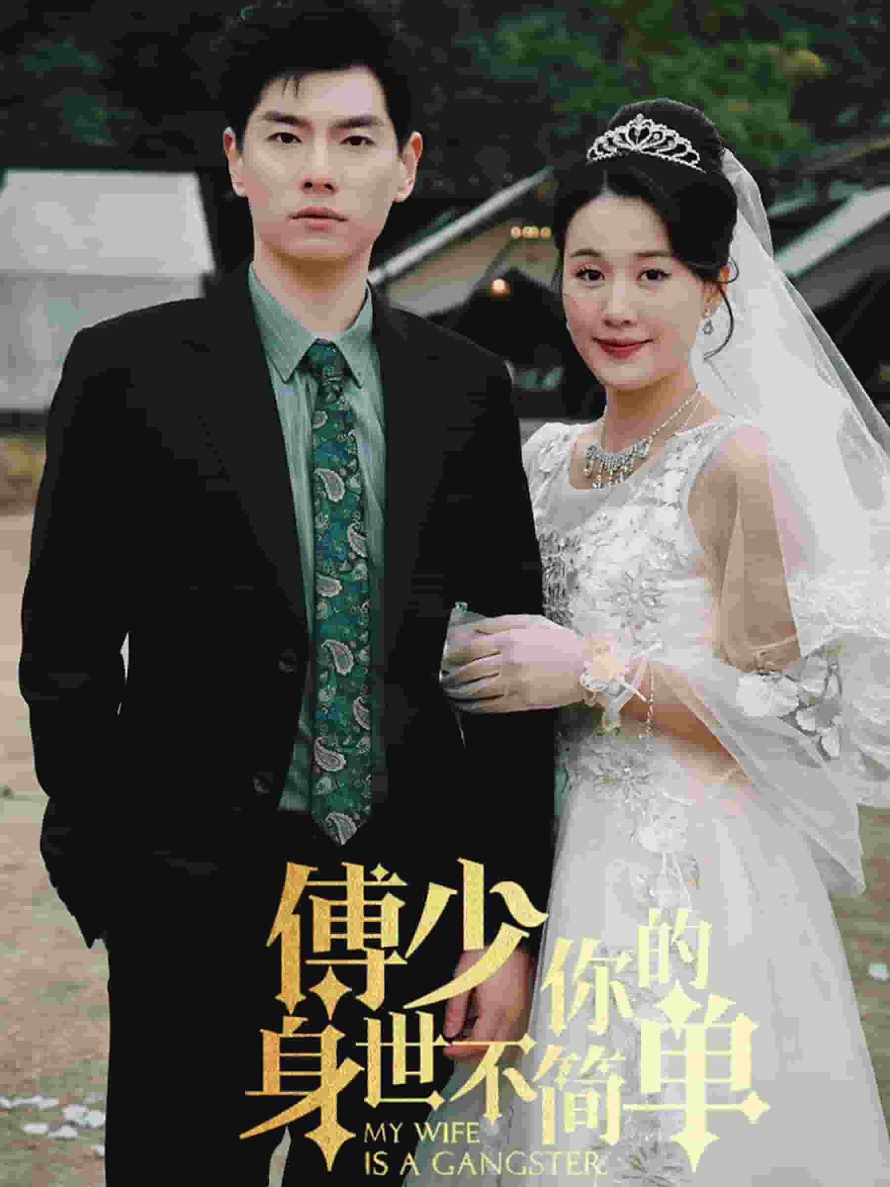 《傅少你的身世不简单》完整版在线观看