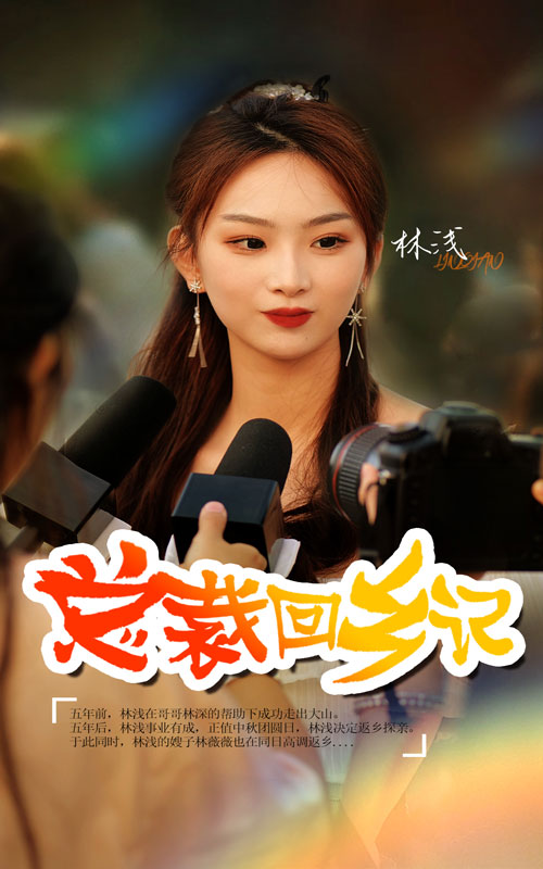 《总裁回乡记》完整版在线观看