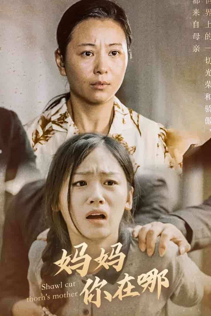 《妈妈你在哪》完整版在线观看