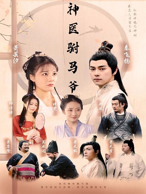《神医驸马爷》完整版在线观看