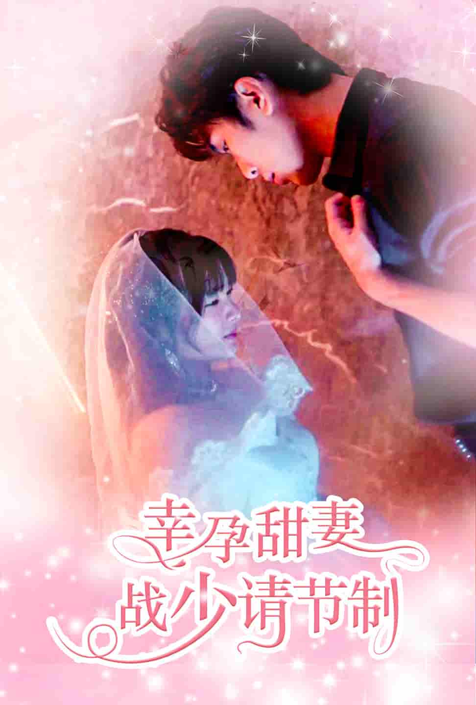 《幸孕甜妻战少请节制》完整版在线观看