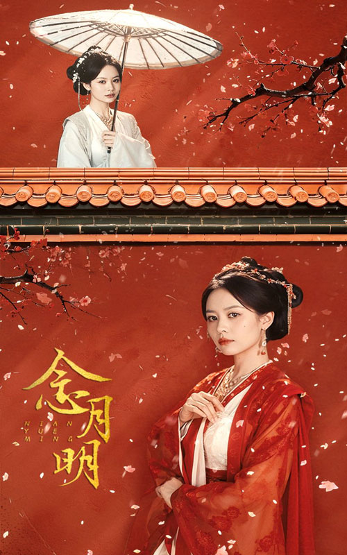 《念月明》完整版在线观看