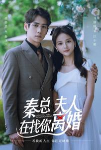 《秦总,夫人在找你离婚》完整版在线观看