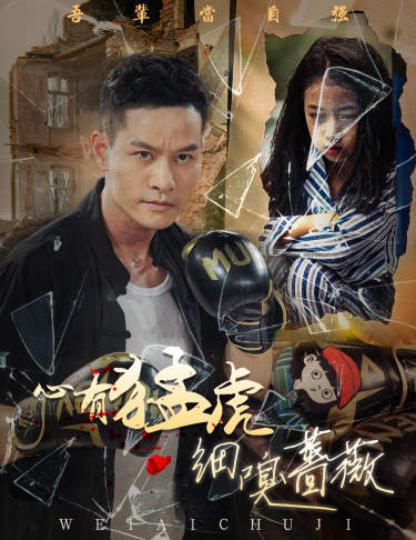 《心有猛虎细嗅蔷薇》完整版在线观看