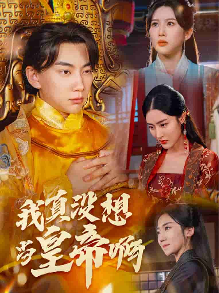 《我真没想当皇帝啊》完整版在线观看