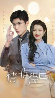 《情非得已》完整版在线观看