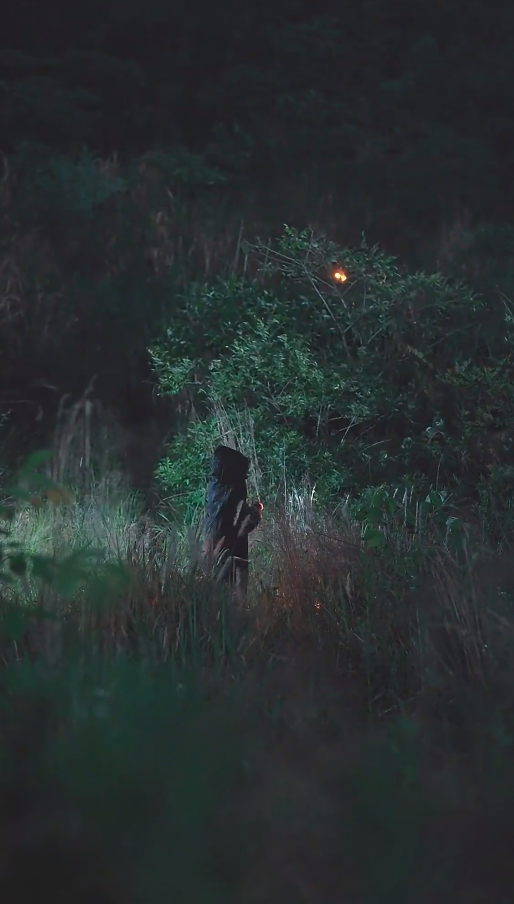 《长风散尽终遇你》完整版在线观看