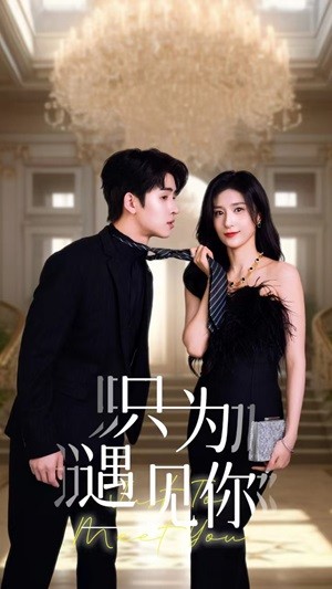 《只为遇见你短剧》完整版在线观看