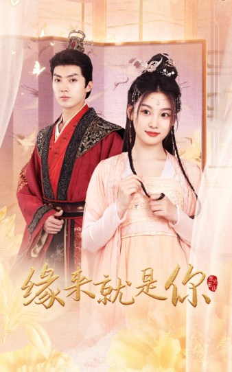 《缘来就是你短剧》完整版在线观看