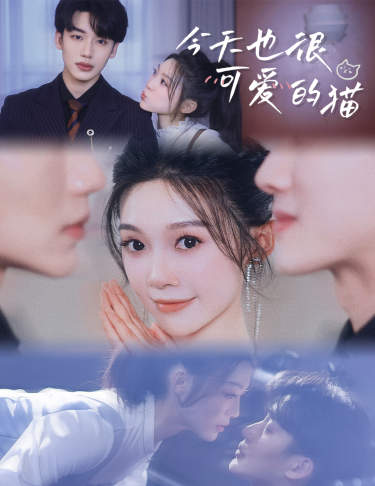 《今天也很可爱的猫》完整版在线观看