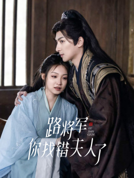 《路将军，你找错夫人了》完整版在线观看