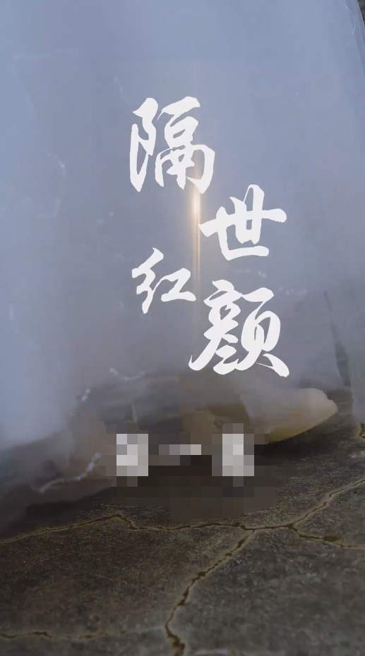 《隔世红颜》完整版在线观看