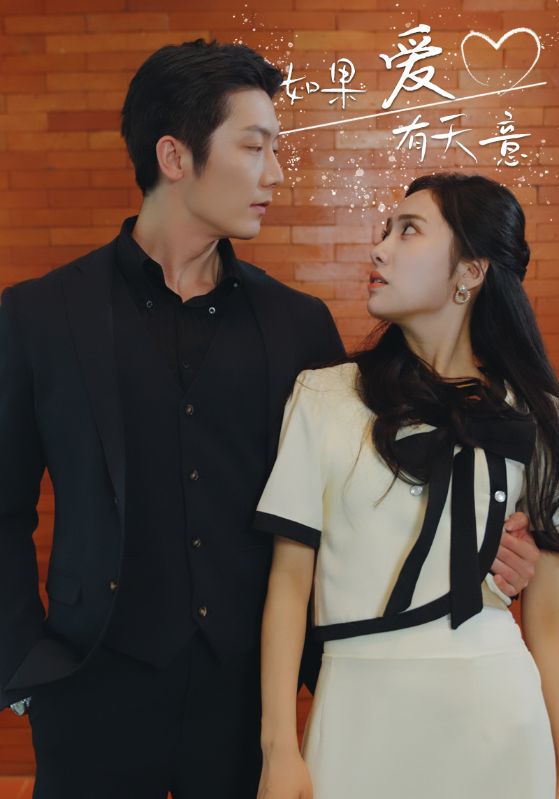《如果爱有天意》完整版在线观看