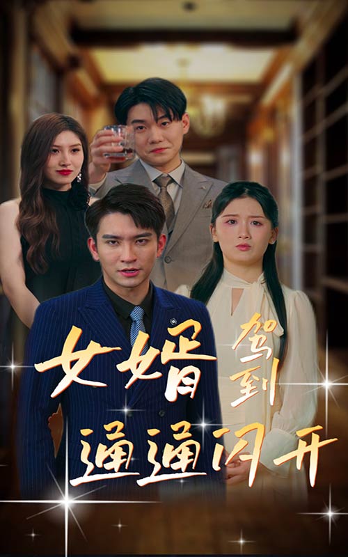 《女婿驾到，通通闪开》完整版在线观看