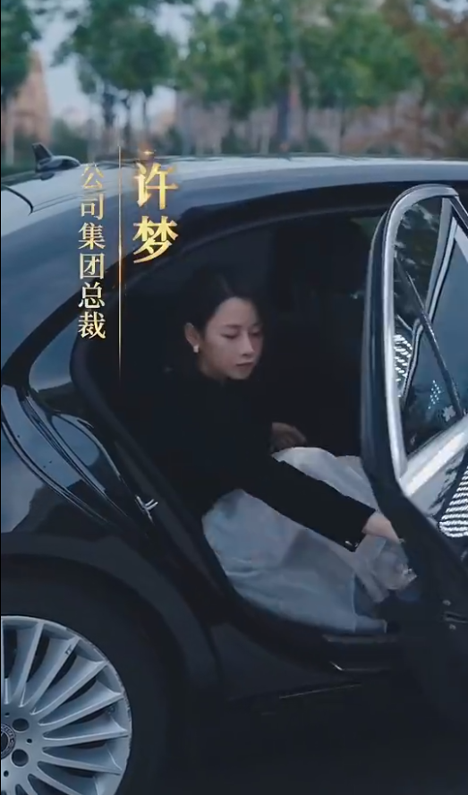 《女老板的复仇》完整版在线观看