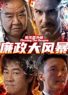 《追龙番外篇之廉政大风暴》完整版在线观看
