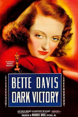 《黑暗的胜利》完整版在线观看