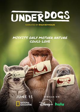 《失败者2025》完整版在线观看