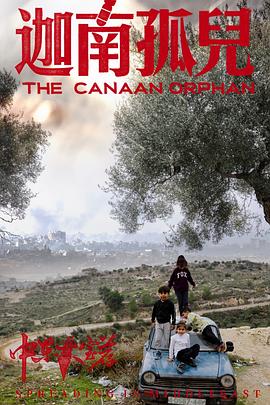 《中东大宝荐2：迦南孤儿》完整版在线观看