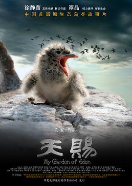 《天赐》完整版在线观看