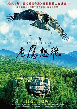 《老鹰想飞》完整版在线观看