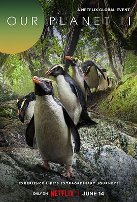 《我们的星球第二季》完整版在线观看