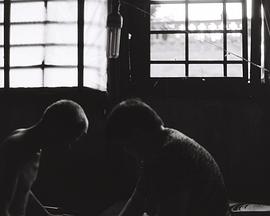 《分水岭》完整版在线观看