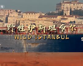 《野性伊斯坦布尔粤语》完整版在线观看