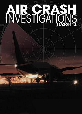 《空中浩劫第十二季》完整版在线观看