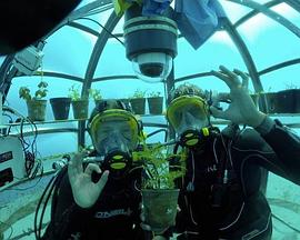 《海洋大宝藏粤语》完整版在线观看