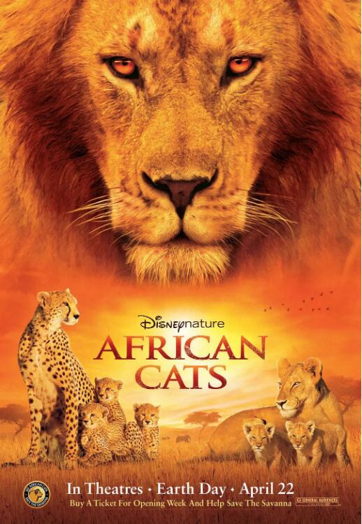 《非洲猫科：勇气国度》完整版在线观看