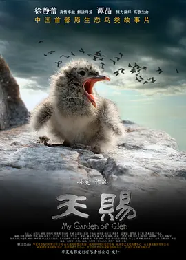 《天赐》完整版在线观看