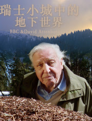 《瑞士小城中的地下世界》完整版在线观看