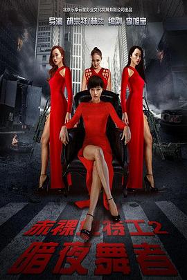 《赤裸女特工2暗夜舞者》完整版在线观看