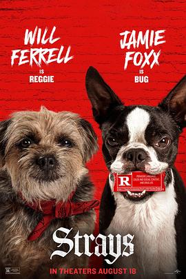 《流浪狗》完整版在线观看