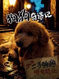 《狗狗奇遇记》完整版在线观看