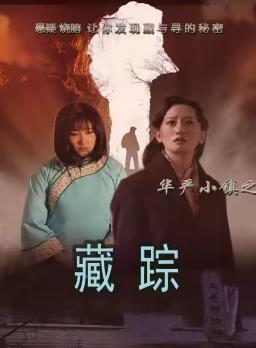 《华严小镇2之藏踪》完整版在线观看