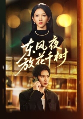 《东风夜放花千树 燕西误尽瑶台月》完整版在线观看