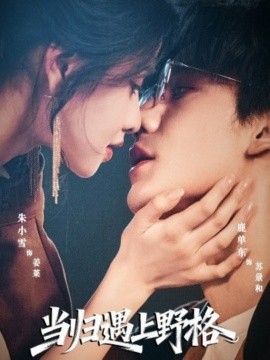 《当归遇上野格》完整版在线观看