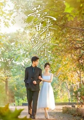 《苦尽甘来缘是你》完整版在线观看